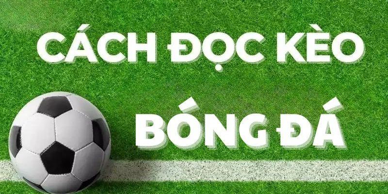 Cách đọc kèo bóng đá cho người mới Cách đọc kèo bóng đá cho người mới dễ dàng và hiệu quả