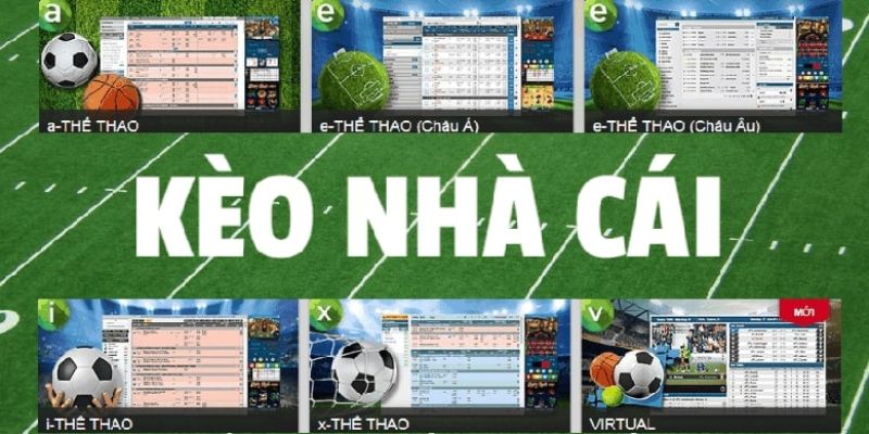 Cách phân tích dựa trên phần giới thiệu chuyên sâu